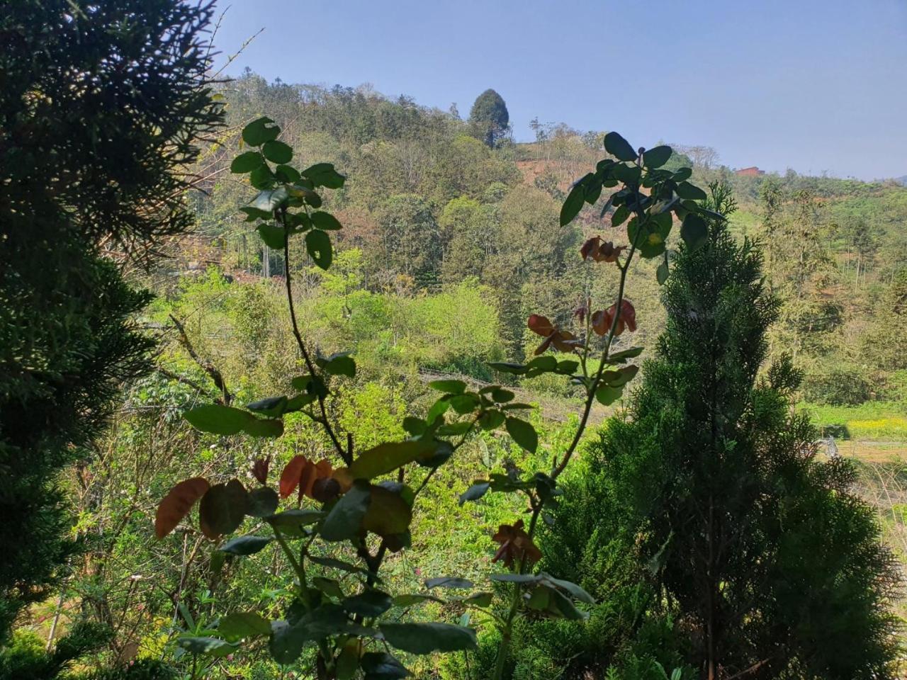 Sapa Garden Bungalow Екстер'єр фото