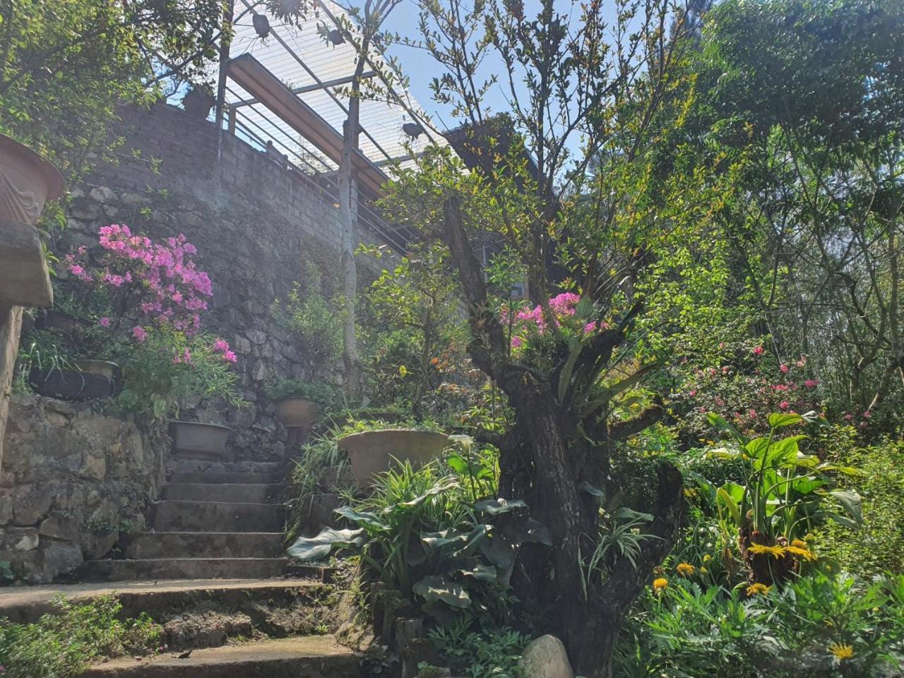 Sapa Garden Bungalow Екстер'єр фото