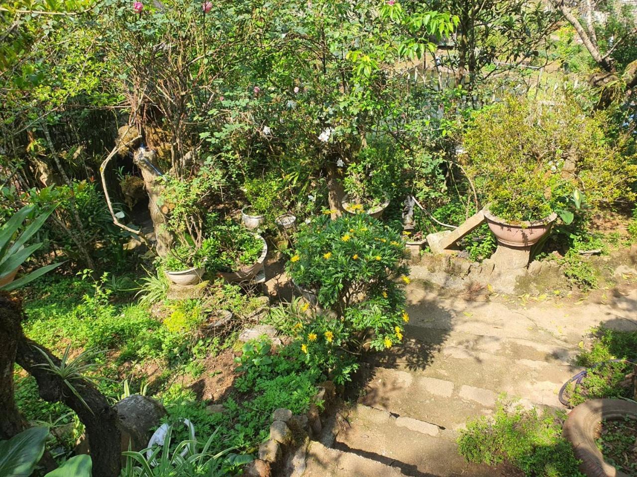 Sapa Garden Bungalow Екстер'єр фото